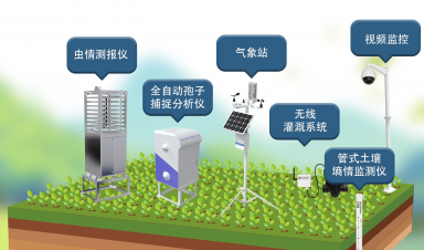 智慧農(nóng)業(yè)創(chuàng)新方案，賦能農(nóng)業(yè)現(xiàn)代化轉(zhuǎn)型新征程